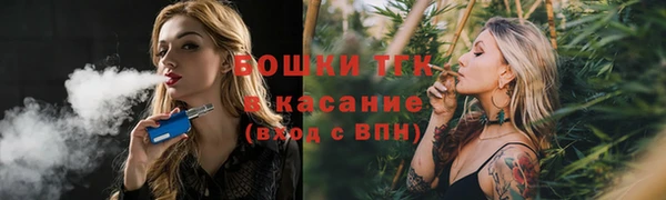 гашик Покачи