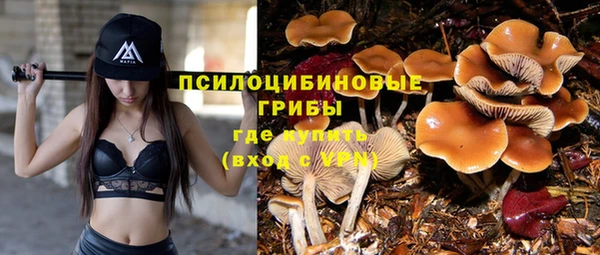 твердый Гвардейск