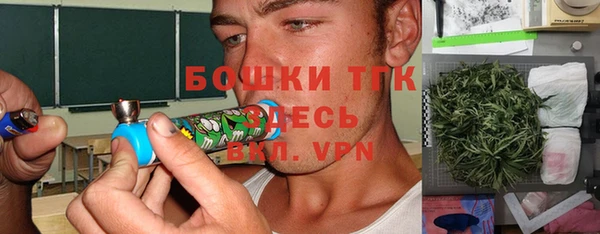 ГАЛЛЮЦИНОГЕННЫЕ ГРИБЫ Покровск