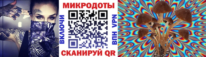 наркотики  Полярный  Галлюциногенные грибы Psilocybe 